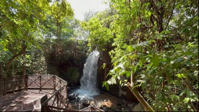 Salgadeira ir